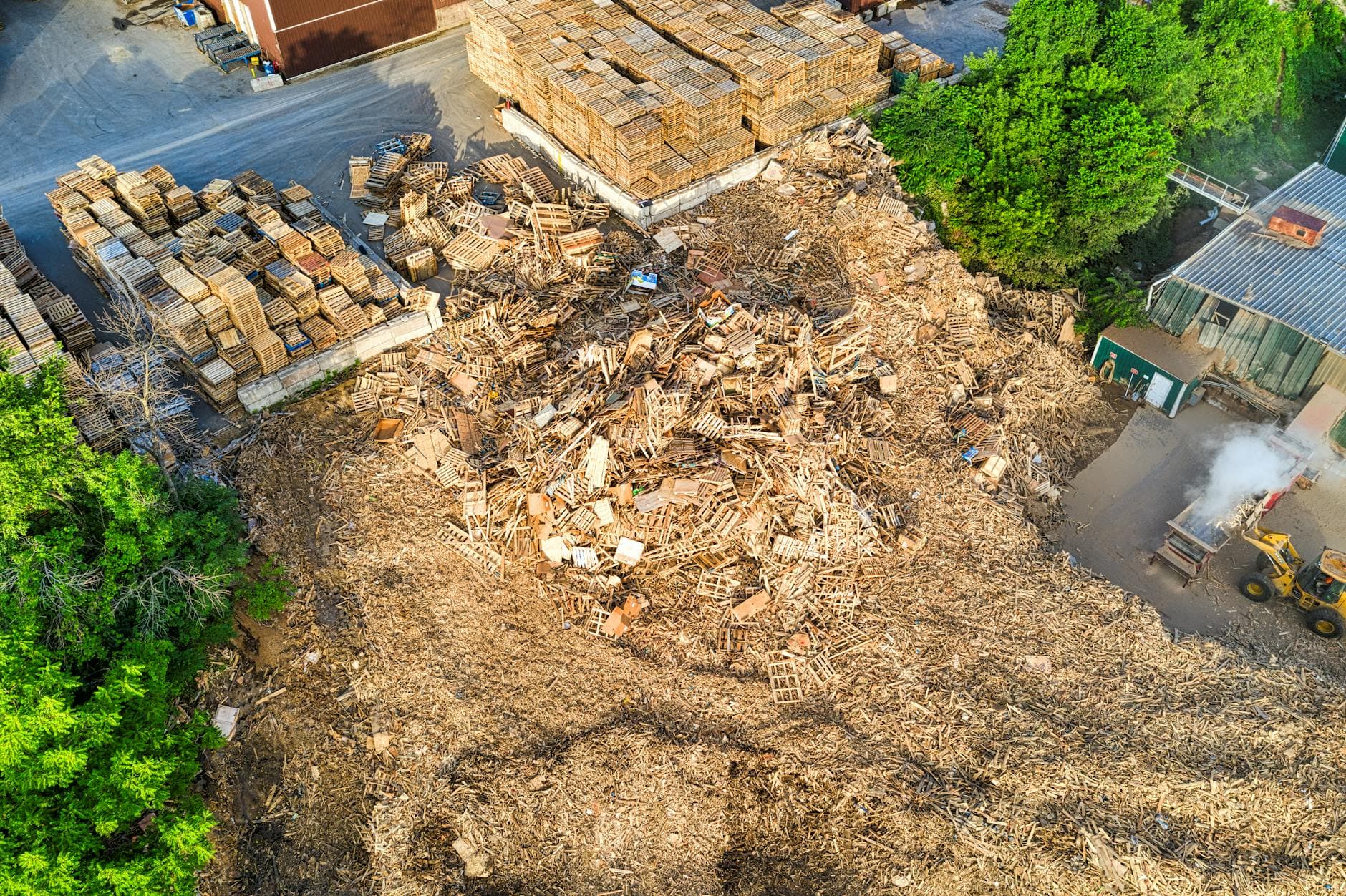 Yard Waste Removal Pittsburgh